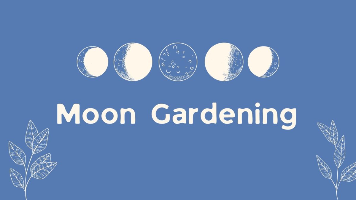 Moon Gardening – Poolesville Seniors