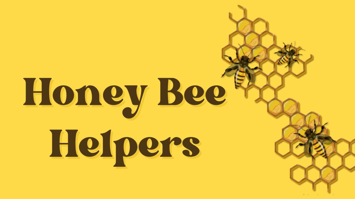 Honey Bee Helpers – Poolesville Seniors